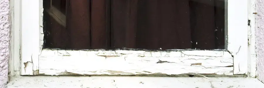 8-Check-for-wood-rot.jpg.webp