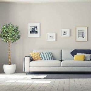 best-paint-color-for-family-room-whiskers-300x300.jpg