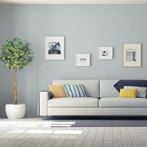 best-paint-colors-for-family-room-maiden-mist-300x300.jpg