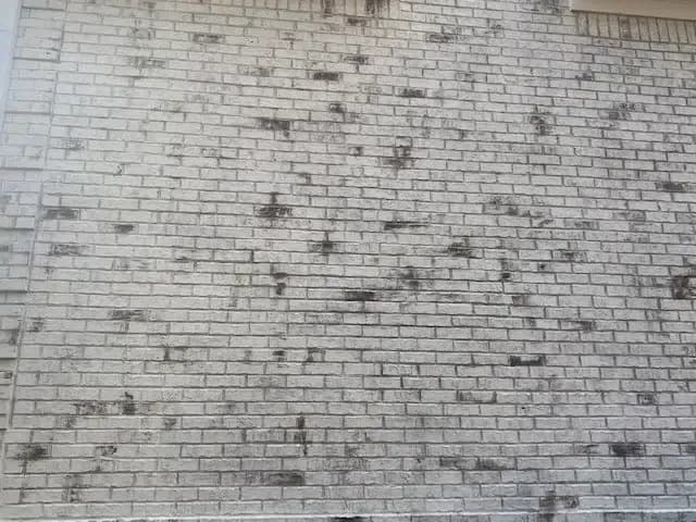 brick-limewash-painting-is-an-art.jpg.webp