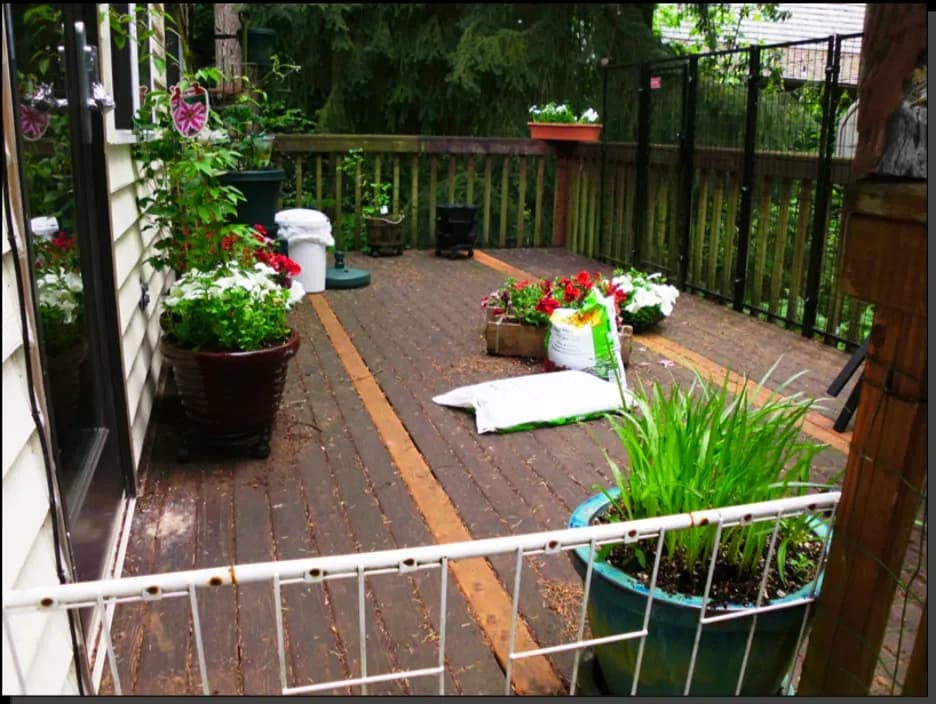 deck-stain.png.webp