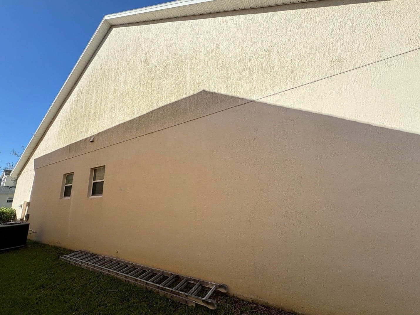 mildew before side 2